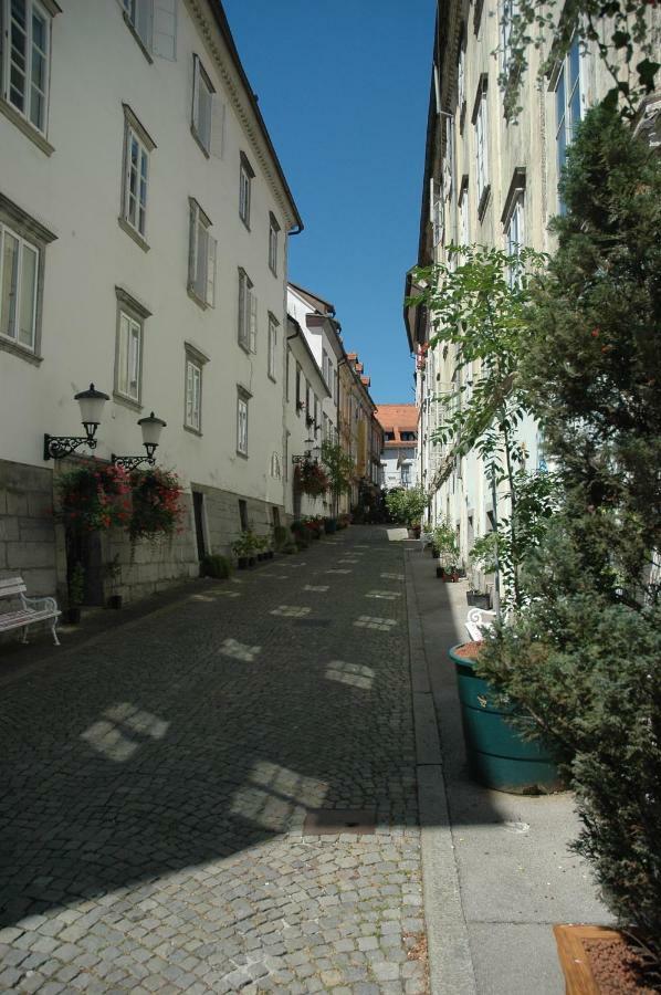 Apartamento Vitez Ii *