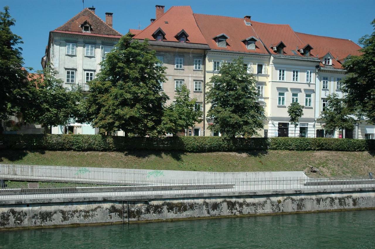 Vitez Ii *